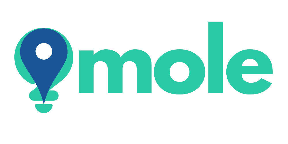 MoleSeek